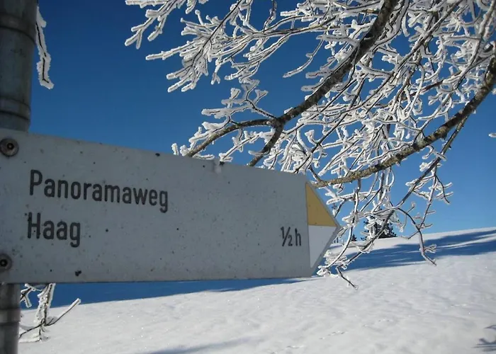 Haus Panorama Apartment